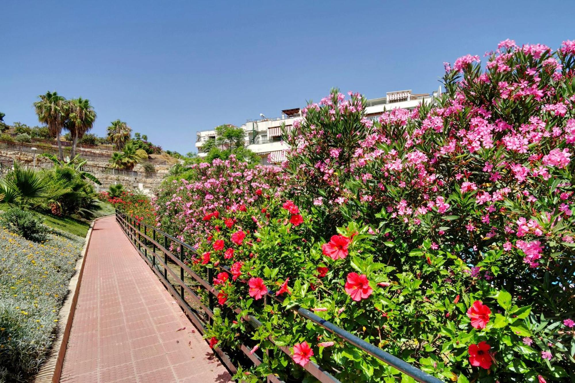 Del Parque Flats - Golf & Beach Terrace Málaga Exterior foto